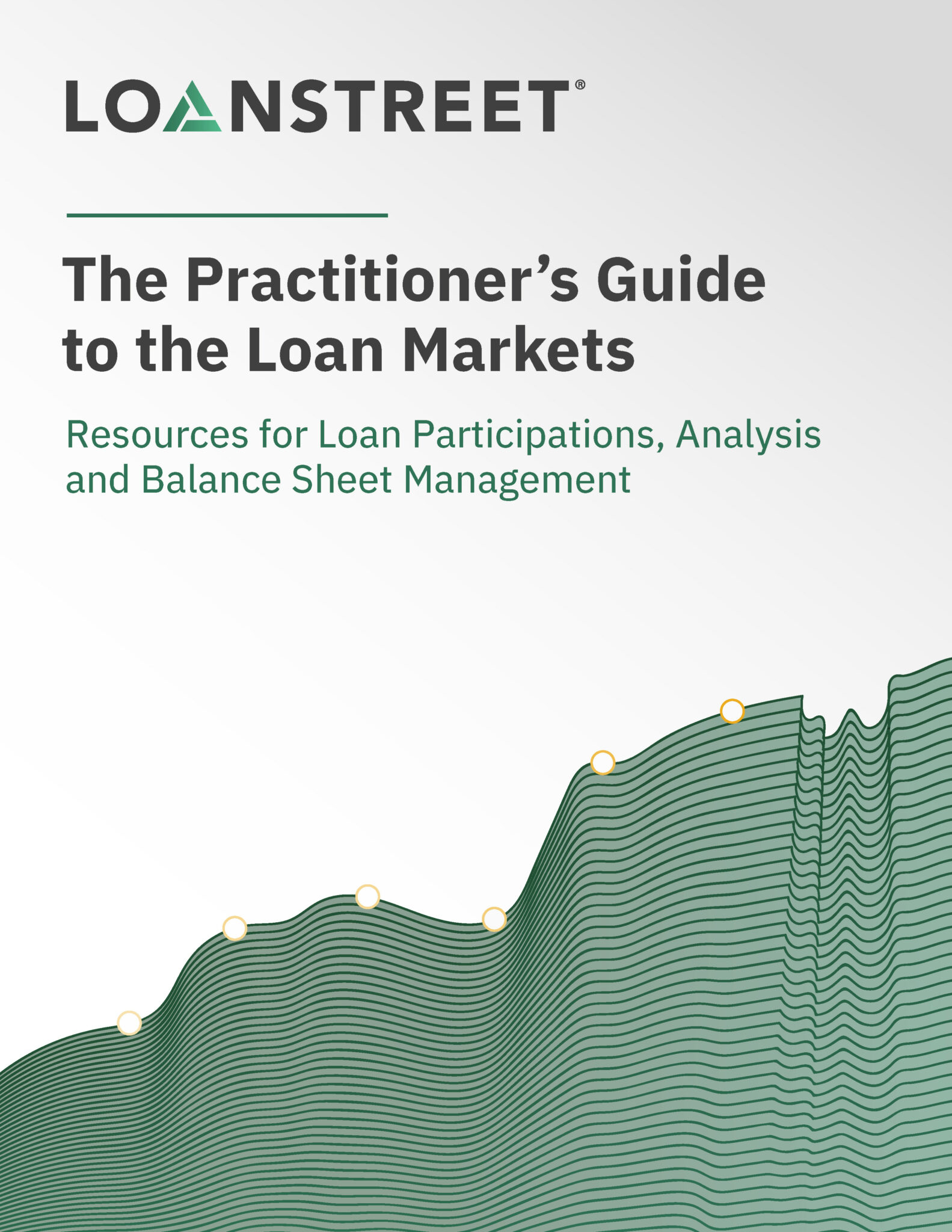 Practitioner's Guide to the Loan Markets - LoanStreet